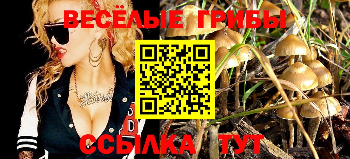 Галлюциногенные грибы GOLDEN TEACHER Стрежевой