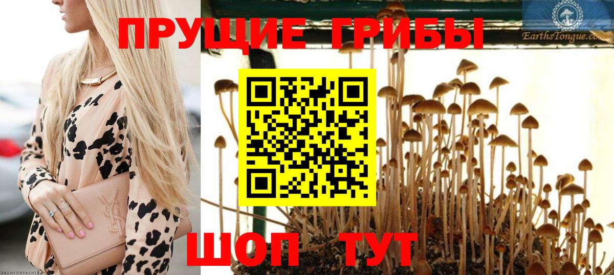 Стрежевой  Галлюциногенные грибы мухоморы  Вход с VPN 